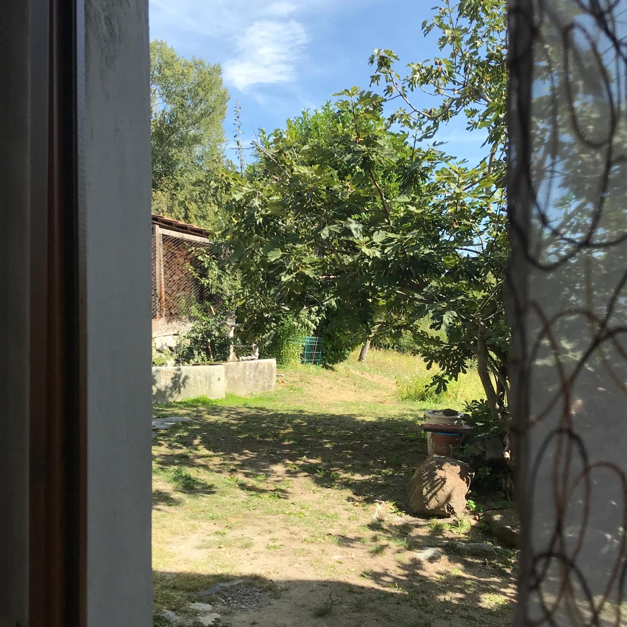 Palu Vacanze: L'Intimita Aosta Rum bild
